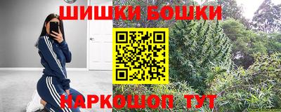 дживик Можга