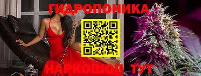 дживик Можга