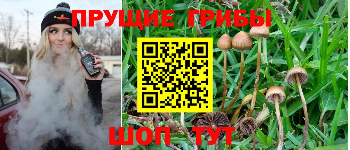 Галлюциногенные грибы мицелий Славгород