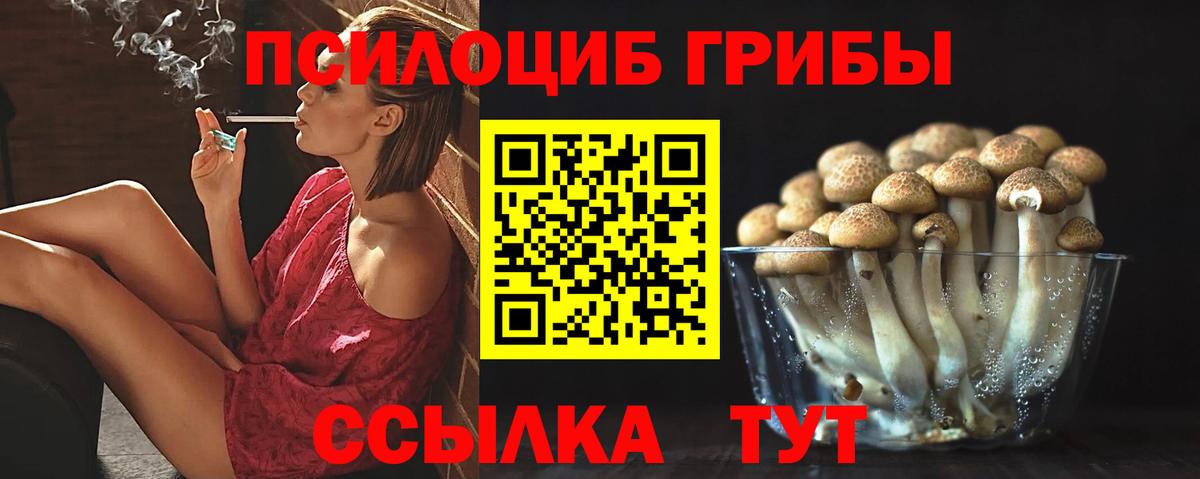 Славгород  Псилоцибиновые грибы Cubensis  Вход с VPN  Галлюциногенные грибы Psilocybine cubensis 
